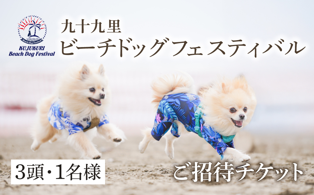 【九十九里ビーチドッグフェスティバル2025】3頭・1名様 ご招待チケット　ふるさと納税 チケット イベント ドッグフェス 愛犬 ワンちゃん beach dog fes ビーチ 砂浜 海岸 九十九里 千葉県 山武市 SMU005