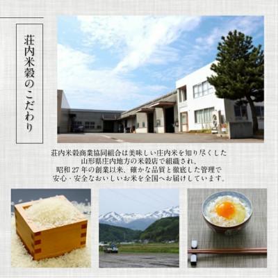 ふるさと納税 酒田市 令和7年産 つや姫(万田植物酵素・米糠醗酵肥料使用) 精米 5kg×2 農産物検査員おすすめの庄内米 |  | 03