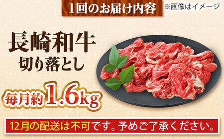【全12回定期便】長崎和牛 切り落とし 総計19.2kg （約1.6kg/回）【ながさき西海農業協同組合】 [DBV048][DBV048]