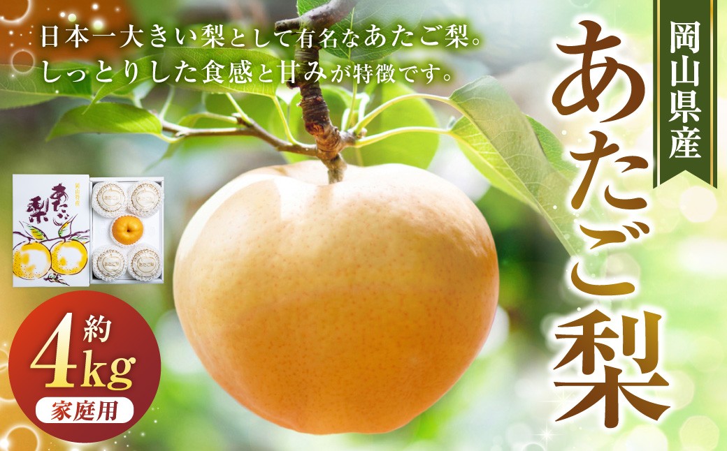 
                  あたご梨 3～9玉 合計約4kg ご家庭用 梨 ナシ なし 愛宕梨 あたごなし ジャンボ梨 【2026年11月下旬～12月下旬発送予定】
                