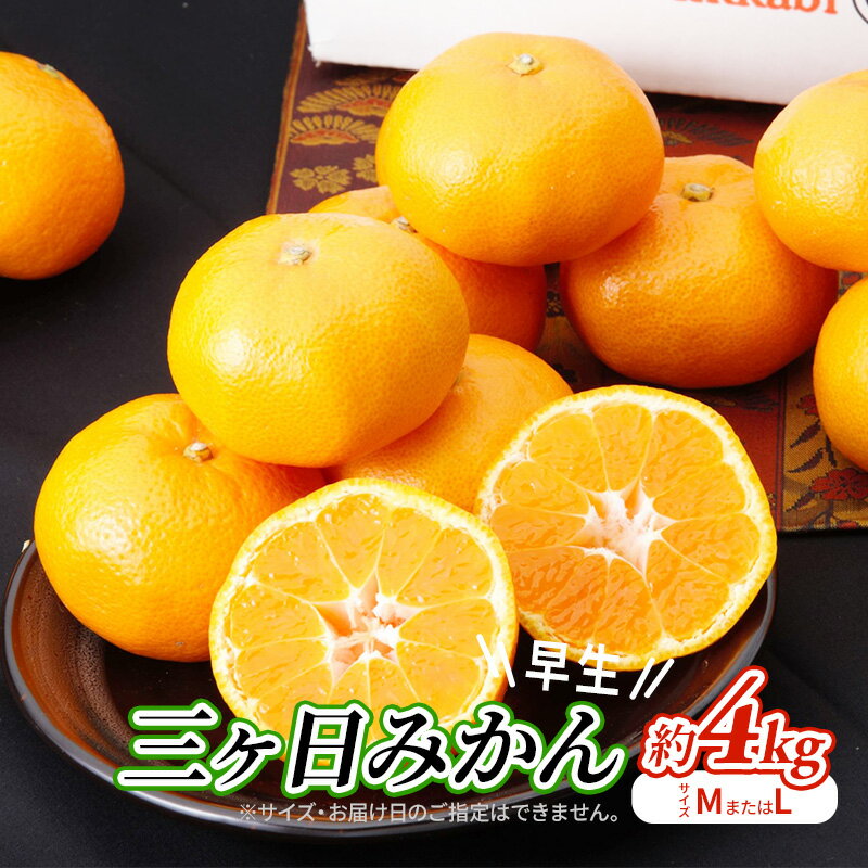 【ふるさと納税】【2025年11月中旬より順次発送】 三ヶ日みかん 早生 4kg M～L 早生みかん みかん 蜜柑 ミカン 果物 くだもの 旬のフルーツ 旬の果物 季節のフルーツ 季節の果物 柑橘 柑橘類 静岡 静岡県 浜松市　お届け：2025年11月中旬～2025年12月中旬