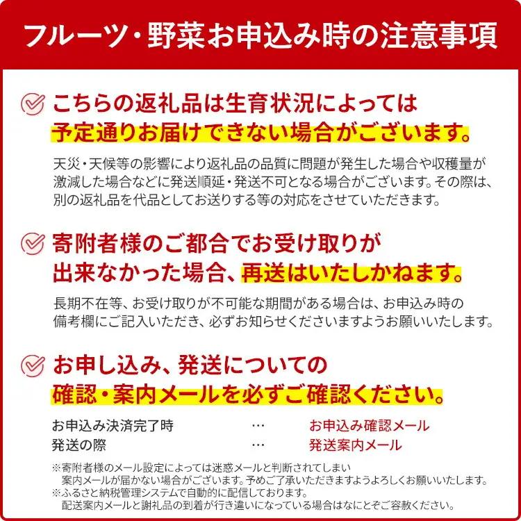 いちご 大木町産あまおういちご 約270ｇ×4P【2026年2月以降発送】CL001