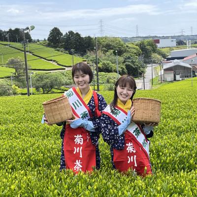 ふるさと納税 菊川市 【お茶の国・静岡発】深蒸し茶1kg(菊川市産) |  | 02