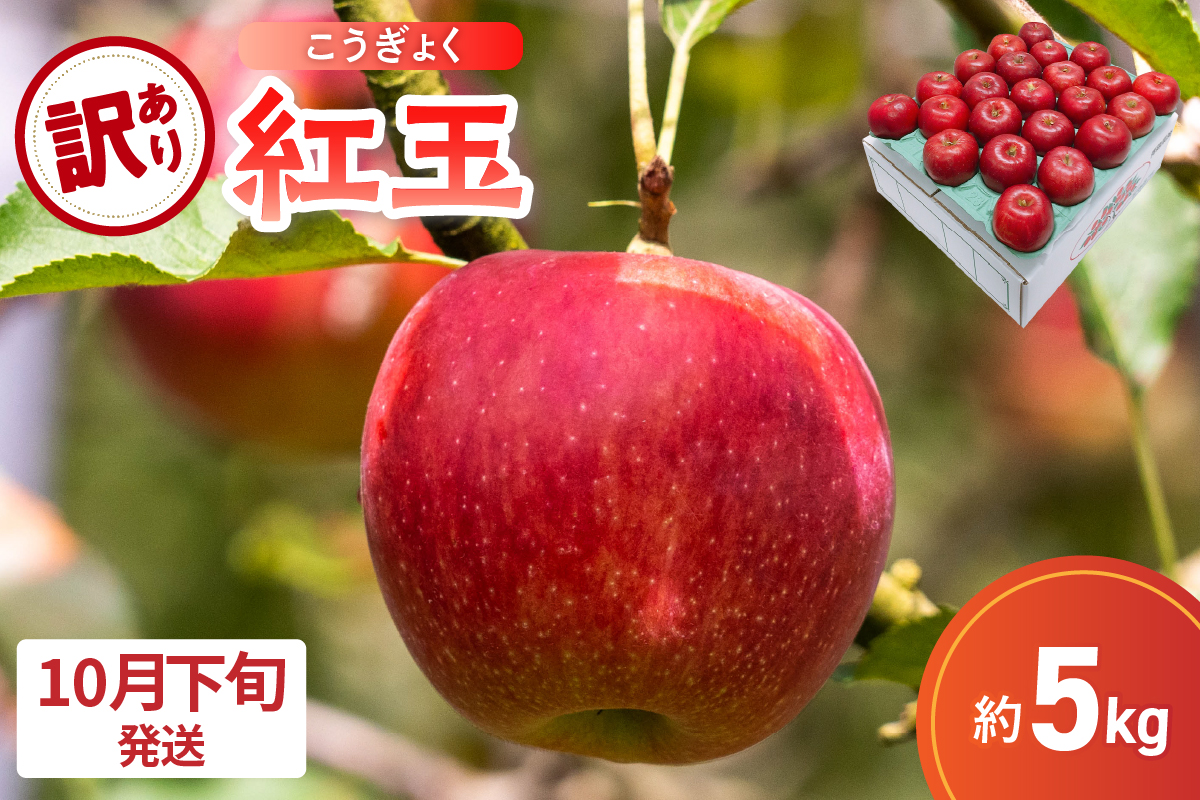 【2026年10月下旬発送】【訳あり】 りんご 5kg 紅玉 アップルパイ に最適 青森 不揃い