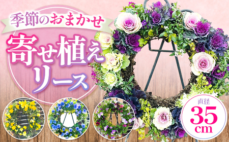 季節のお花の寄せ植えリース35センチ | フラワー リース インテリア 癒し かわいい 兵庫県 上郡町