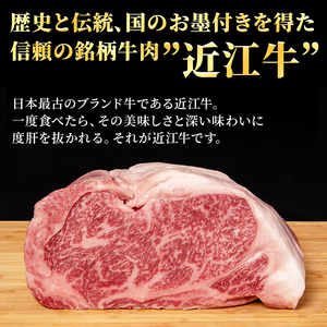 【先行予約受付中】毎月違うお肉が届く！ 近江牛 特選お肉の6か月定期便　すき焼き 焼肉3種盛り　ステーキ