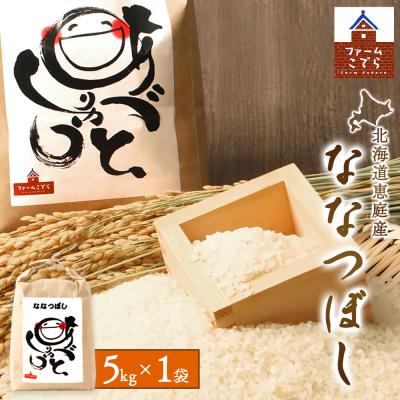 ふるさと納税 恵庭市 北海道恵庭産　ななつぼし 5kg×1袋【67001901】