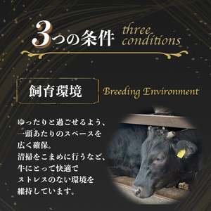 亀岡牛 特選霜降り焼肉 500g  焼肉