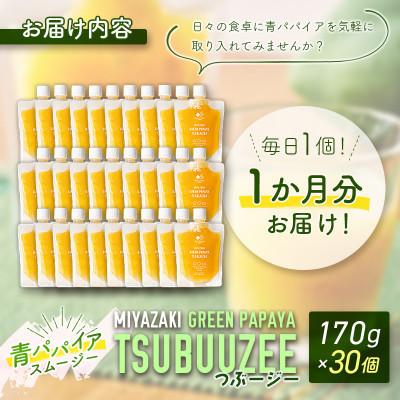 ふるさと納税 新富町 青パパイアスムージー 30個入〜青パパイアの粒々とフレッシュな柑橘の味わい〜 |  | 03