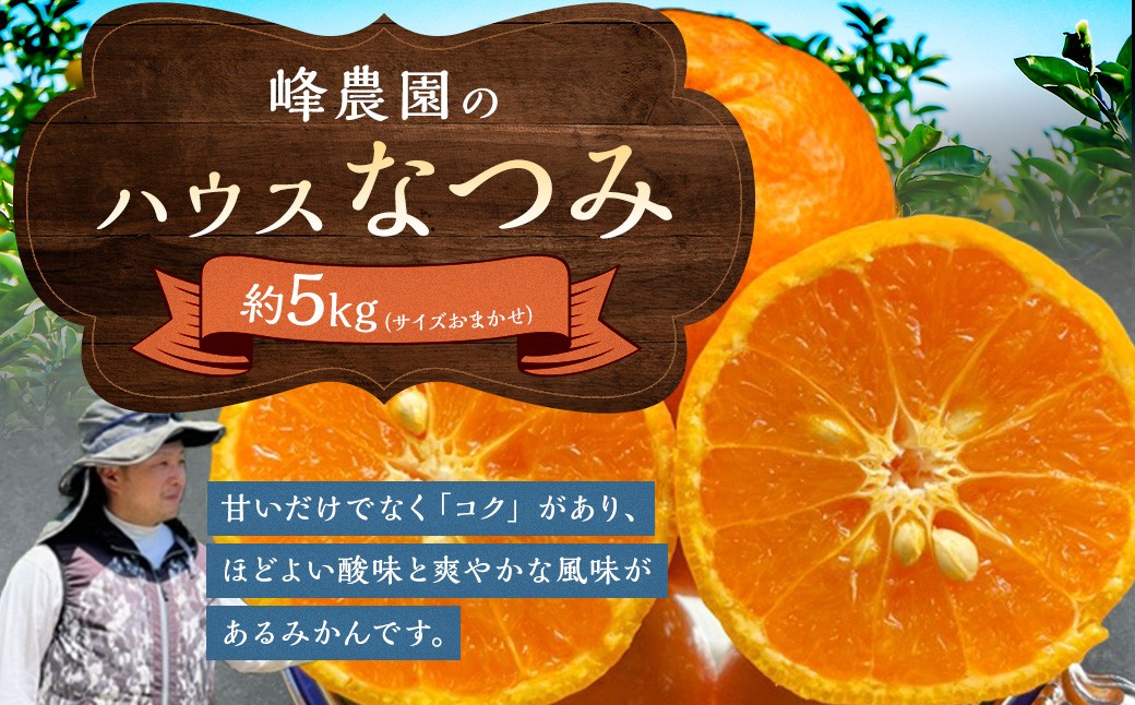 
                  峰農園のハウスなつみ 5kg （サイズおまかせ）【2027年3月下旬-4月下旬発送予定】 みかん ミカン 蜜柑 薄皮 マンダリン ポンカン 希少品種 太良みかん なつみ 柑橘 フルーツ 果物 完熟 甘い ハウス栽培 佐賀県 太良町 O165x2
                