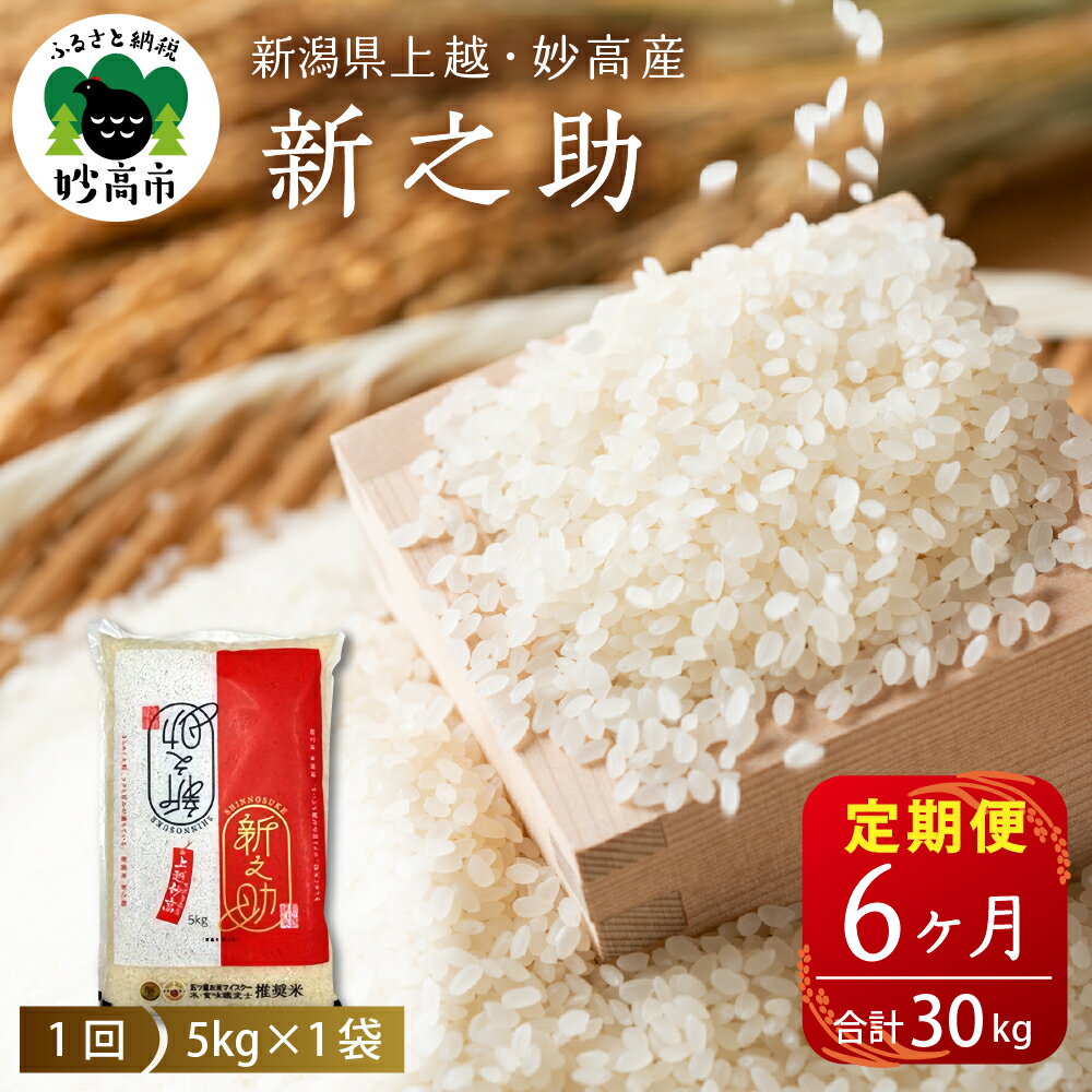 【ふるさと納税】レビュー 高評価 【定期便】 令和7年産 新潟県 上越 ・ 妙高産 新之助 5kg ( 計 30kg ) 全6回【発送時期が選べる】 先行受付 2025年産 米 しんのすけ 6回連続 6ヶ月 ブランド米 白米 精米 お米 コメ 贈答 送料無料 妙高市 五つ星お米マイスター厳選