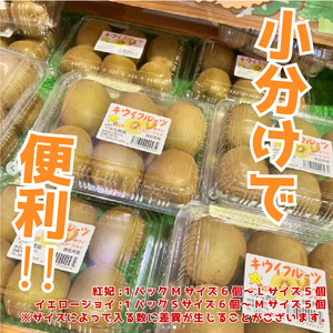 訳あり キウイフルーツ 食べ比べ セット2.7kg 先行予約 2025年10月上旬～ キウイ キウイ キウイ