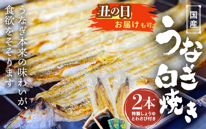 【土用の丑の日までにお届け】国産うなぎ白焼（２本） /  和歌山 田辺市 国産 国産うなぎ 国産鰻 うなぎ 鰻 鰻丼 うな丼 土用の丑の日【ots019-dy】