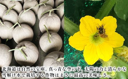 【2024年6月下旬～発送】特選 ふらの メロン 1玉 約2kg 北海道 富良野市 赤肉メロン (ジュラファーム富良野) メロン フルーツ 果物 新鮮 甘い 贈り物 ギフト 道産 ジューシー おやつ 
