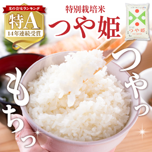 【令和7年産米】 ※2026年4月前半発送※　特別栽培米 つや姫10kg 山形県 東根市産 丸屋本店提供 hi008-013-041 2025年 令和7年産 山形 送料無料 東北 白米 精米 お米 こ