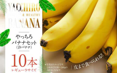 やっちろバナナ（汐バナナ）10本セット 【2026年7月下旬発送開始】