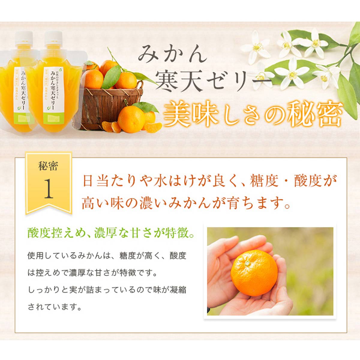 ＜5種の味わい食べ比べ寒天ゼリー＞ 『1か月以内に順次出荷予定』ミヤモトオレンジガーデン 愛媛県 西予市
