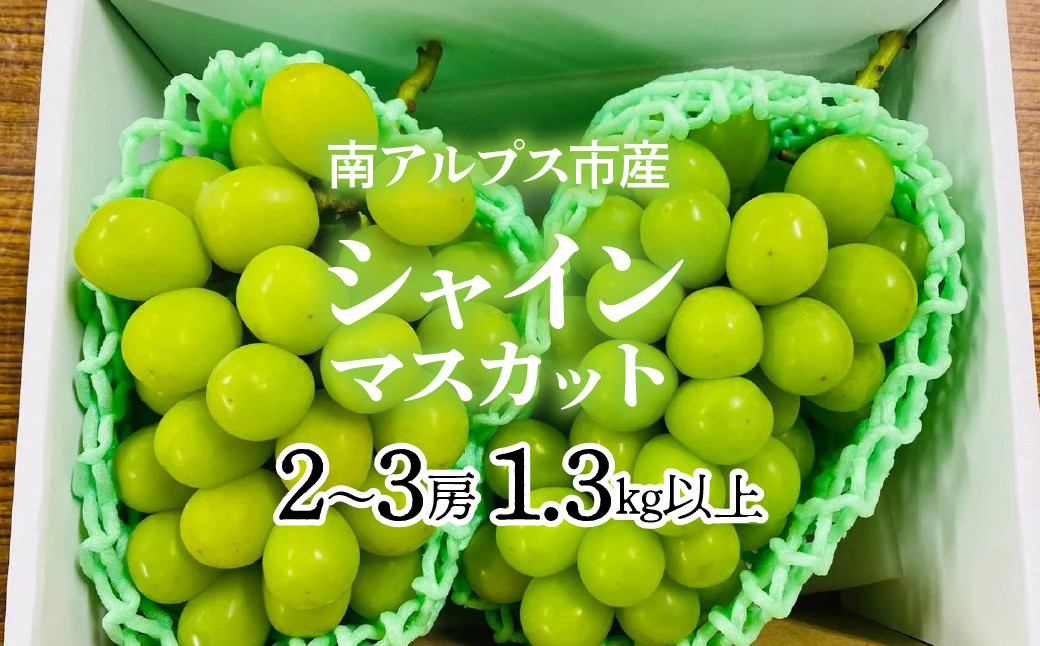 
            南アルプス市産　シャインマスカット2房～3房（約1.2キロ）クール便発送 ALPAG007
          