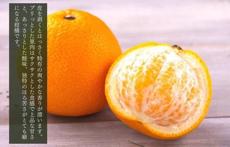 八朔 (はっさく)  玉ぞろい 箱込 10kg(内容量約 9.2kg) 2L L Mサイズのいずれか 秀品 優品 混合和歌山県産  産地直送【おまけ付き】【みかんの会】