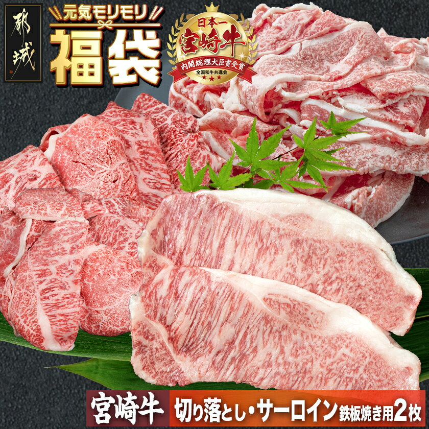 【ふるさと納税】【元気モリモリ福袋】宮崎牛切り落とし・鉄板焼き用サーロイン2枚セット - ブランド牛肉 牛バラ切り落とし肉/牛ウデ・牛モモ切り落とし肉 各500g 送料無料 25-029【宮崎県都城市】