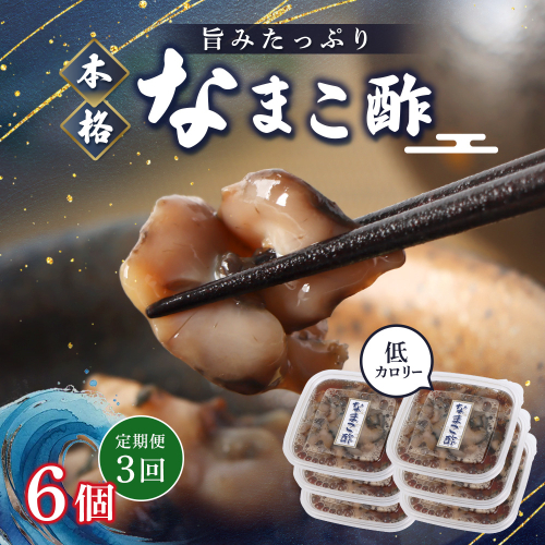 【定期便：全3回】【マリナシーフーズ】なまこ酢×6個 計360g【37003CB0301】