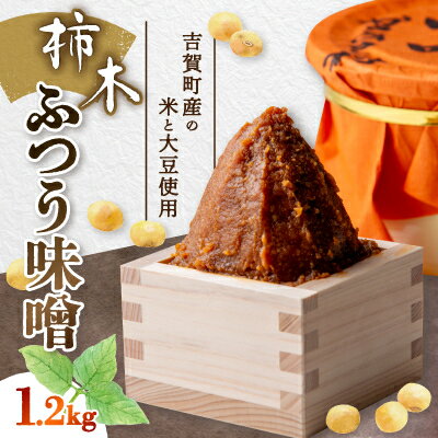 【ふるさと納税】柿木ふつう味噌　1.2kg【配送不可地域：離島】【1259217】