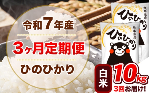 令和7年産【3ヵ月定期便】 白米 ひのひかり 定期便 10kg 5kg×2袋《お申込み翌月から出荷》 熊本県産 精米 ひの 米 こめ ヒノヒカリ コメ お米