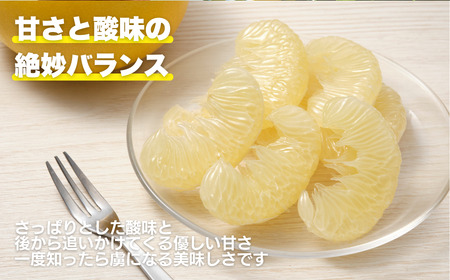 訳あり 土佐 文旦 7kg サイズ ミックス ご家庭用 送料無料 産地直送 農家直送 フルーツ 果物 柑橘 ぶんたん ジューシー 旬の味覚 爽やか 香り プリプリ 食感 大玉 小玉 サラダ デザート 