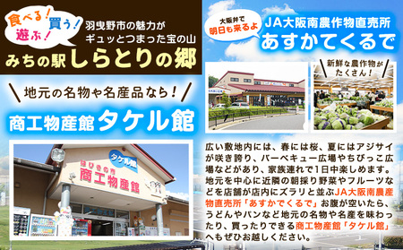 酔わないThe CHOYA 本格梅酒仕込みセット 羽曳野商工振興株式会社《30日以内に出荷予定(土日祝除く)》大阪府 羽曳野市 梅酒 ノンアルコール 梅 酒 CHOYA チョーヤ チョーヤ梅酒 お酒｜