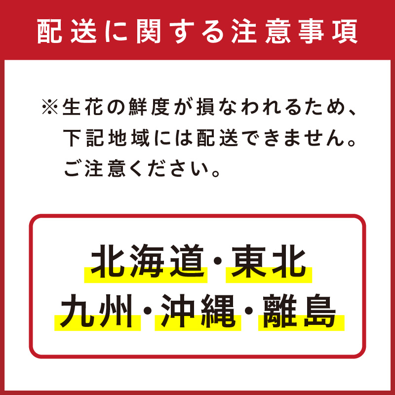 【母の日ギフト】お母さんへのプレゼントに！あじさい（鉢花） ※お届け不可地域あり【009D-059】