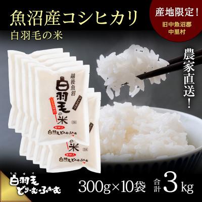 ふるさと納税 十日町市 令和7年産　農家直送!魚沼産コシヒカリ「白羽毛の米」精米(300g×10袋)3kg
