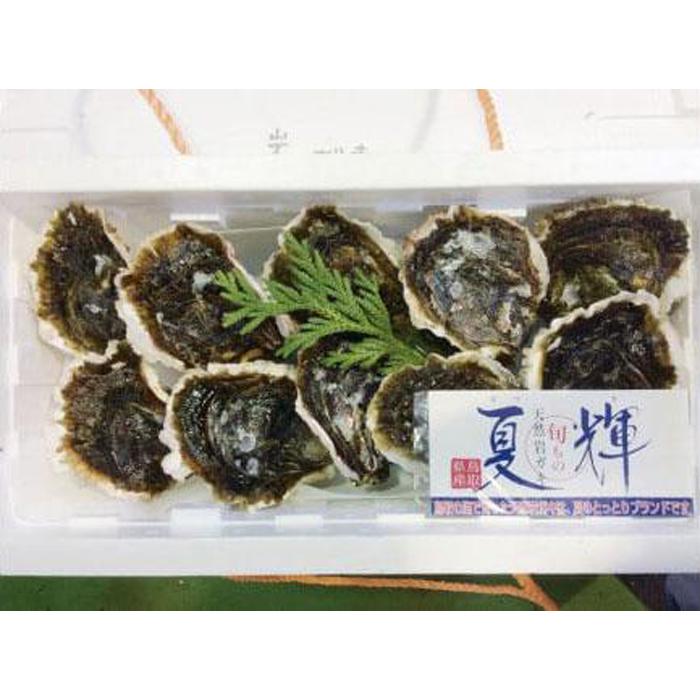 【ふるさと納税】【2026年6月上旬以降発送 先行予約】鳥取県産 天然 岩ガキ『夏輝』 10個（300g以上×10個） 牡蠣 ※着日指定不可 ※2026年6月上旬～8月下旬頃に順次発送予定 | 牡蠣 かき 岩ガキ いわがき 甲殻類 新鮮 鳥取 国産 松葉ガニ 北栄町 おすすめ 人気