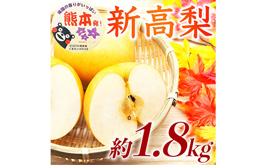 新高梨 1.8kg ナシ 梨 果物 くだもの フルーツ FKP9-733