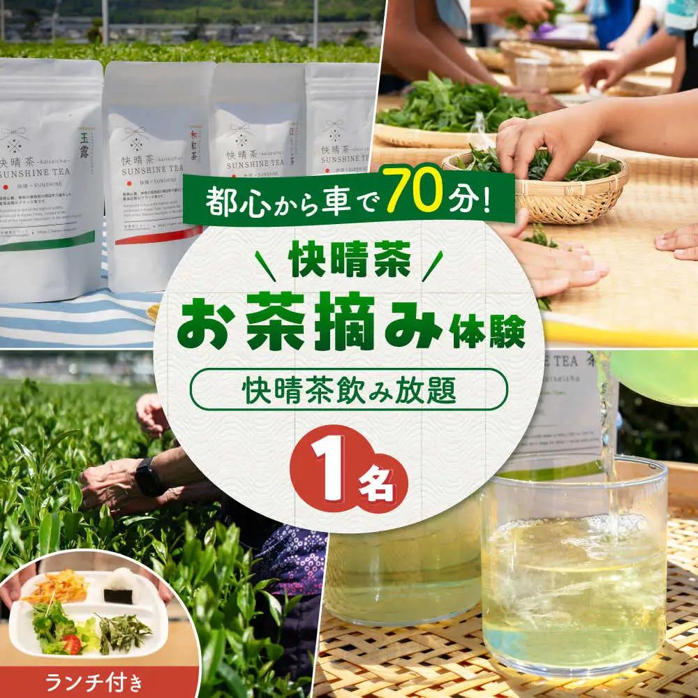 お茶摘み体験 体験チケット【ランチ付き】[BDAT006]