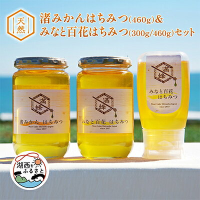 【ふるさと納税】浜名湖ほとり 渚みかんはちみつ・みなと百花はちみつ 各460g・みなと百花はちみつ 300g　3本【1390461】