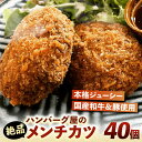 【ふるさと納税】ハンバーグ屋の絶品メンチカツ 60g×40個 (2個入×20袋)《豊前市》【鉄板ダイニング チオハウス】 ミンチカツ メンチ 冷凍[VDC002] 33000 33000円