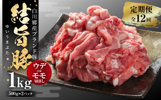 定期便 全12回 結旨豚 ウデ又はモモ 切り落とし 500g×2パック 計1kg 毎月1回 冷凍 真空パック 抗生物質 合成抗菌剤不使用 ｜ 豚肉 切り落とし 豚肉 定期便 豚肉 切り落とし 小分け 豚肉 小分け 豚肉 豚丼 定期便 肉 切落し 結旨豚 ブランド豚 国産豚 ブランド豚 結旨豚 野菜炒め カレー 食べ比べ セット ギフト 世界遺産 白川郷 [MS106]
