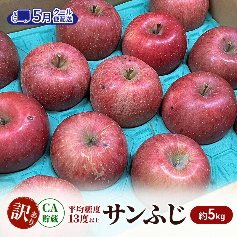 【ふるさと納税】【5月 クール便配送】雪国鮮度をと閉じ込めた りんご 【平均糖度13度以上】CA貯蔵 訳あり サンふじ 約5kg リンゴ 果物 青森県 鶴田町　お届け：2026年5月7日～2026年5月23日