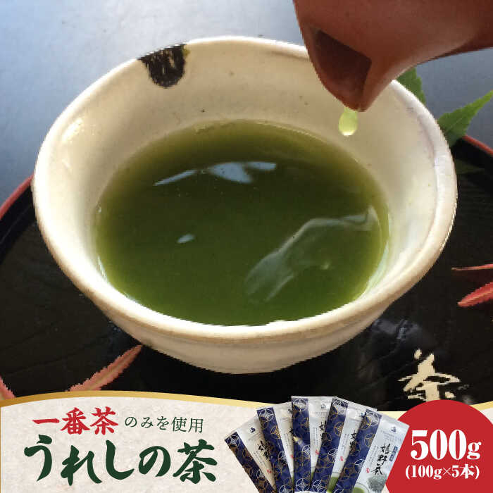 【ふるさと納税】【一番摘み茶葉のみを使用！】老舗茶屋川原茶業の嬉野茶（一番茶かぶせ玉緑茶100g×5本入）/ 佐賀県 / 株式会社川原茶業 [41AIAV004]