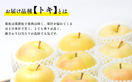 【レビューキャンペーン】10月発送 トキ 約5kg 青森県平川市産[hi-0003-019]