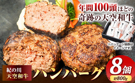 ハンバーグ 肉 黒毛和牛 ハンバーグ 天空和牛ハンバーグ 約800g (約100g×8個)《30日以内に出荷予定(土日祝除く)》有限会社松牛 和歌山県 紀の川市 熊野牛 紀の川天空和牛 惣菜 