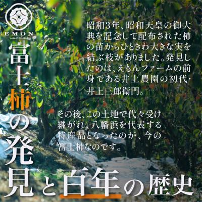 ふるさと納税 八幡浜市 ※先行受付中!!【元祖富士柿】「赤富士」2個入り【63-5】 |  | 01