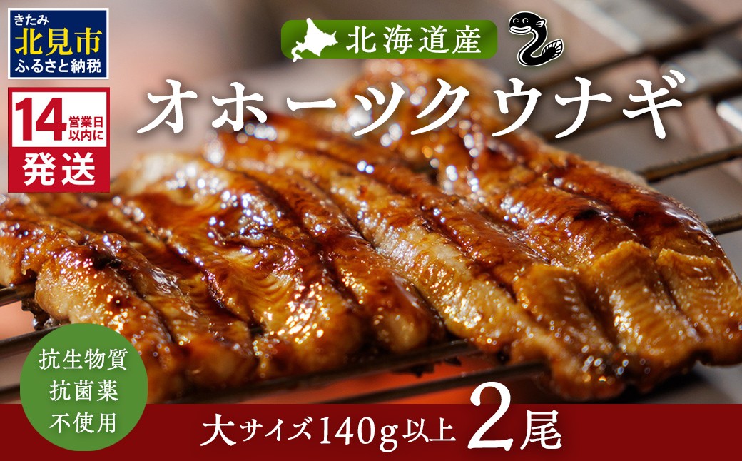 
                  《14営業日以内に発送》オホーツクの綺麗な地下水で育った オホーツク うなぎ 2尾 ( 蒲焼 蒲焼き 丑の日 土用丑の日 )【160-0008】
                