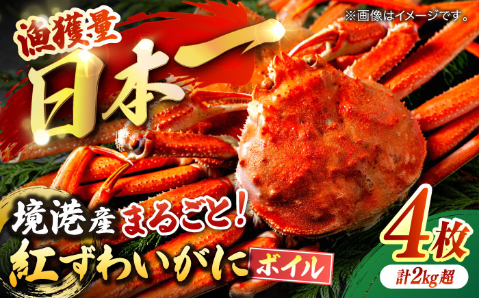 
                  山陰産 紅ズワイガニ ×4杯｜ 紅ずわいがに かに 蟹 カニ かにみそ かに鍋 かにしゃぶ ボイル [ALDN001]
                
