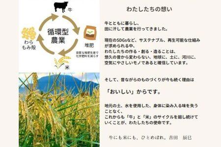 【ANA限定】数量限定 令和6年産 ひとめぼれ 精米 10kg | 米 お米 コメ 精米 白米 ヒトメボレ 岩手県紫波町 (DZ002)