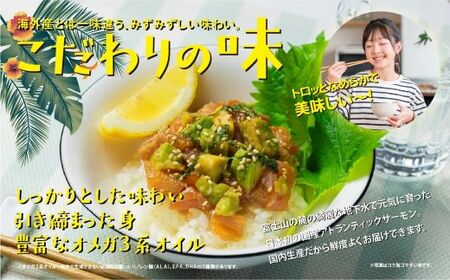 国産 アトランティックサーモン ポキ 丼 食べ比べ セット 70g × 2パック × 4種類 サーモン 漬け