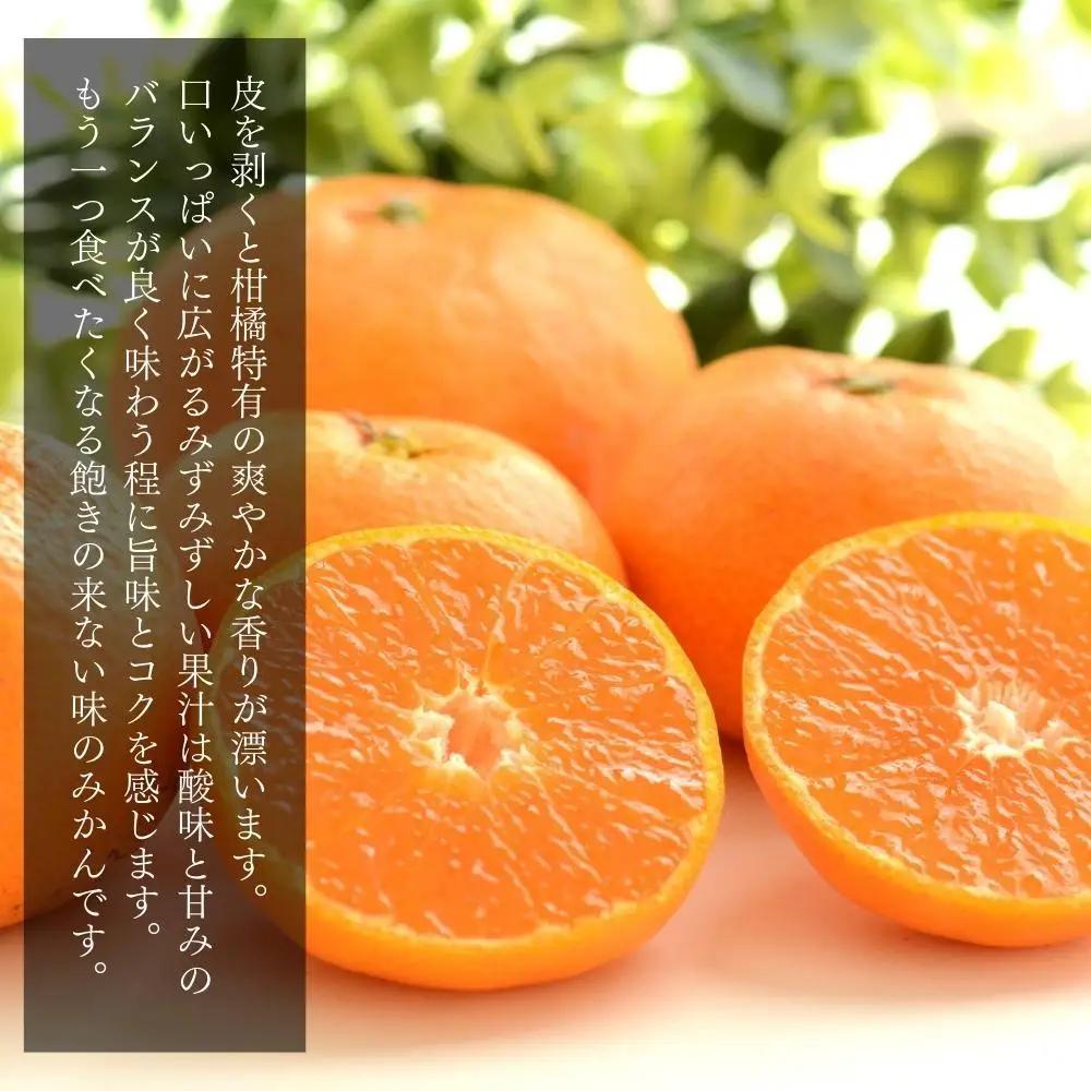 みかん 大玉 どっこいしょ 箱込 5kg ( 内容量約 4.4kg ) 2Lサイズ以上 秀品 優品 混合 有田みかん 和歌山県産 産地直送 家庭用［2026年11月中旬より順次出荷予定］