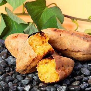 本場鹿児島さつまいも 【白安納】6kg　2025年10月上旬より発送A3-56_野菜 さつまいも いも サツマイモ 薩摩芋_【配送不可地域：離島】【1167100】