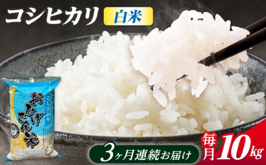 【3回定期便】コシヒカリ 白米 10kg×3ヵ月 愛西市 / 脇野コンバイン [AECP027]
