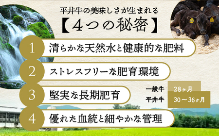 数々の誉れに輝く最高峰 黒毛和牛「平井牛」A5 ミンチ 250g 京都 丹波牧場 自家産≪希少 和牛 京都肉 冷凍 ふるさと納税 牛肉 肉 牛肉 黒毛和牛 牛肉 国産牛肉 京都府産牛肉 亀岡産牛肉≫